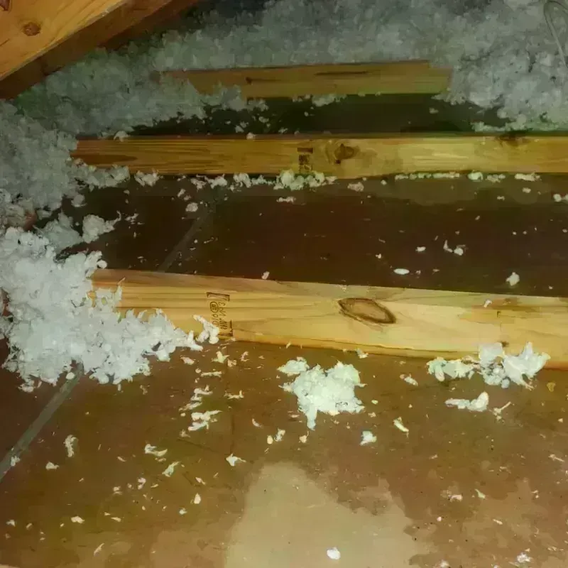 Attic Water Damage in Jackson County, NC