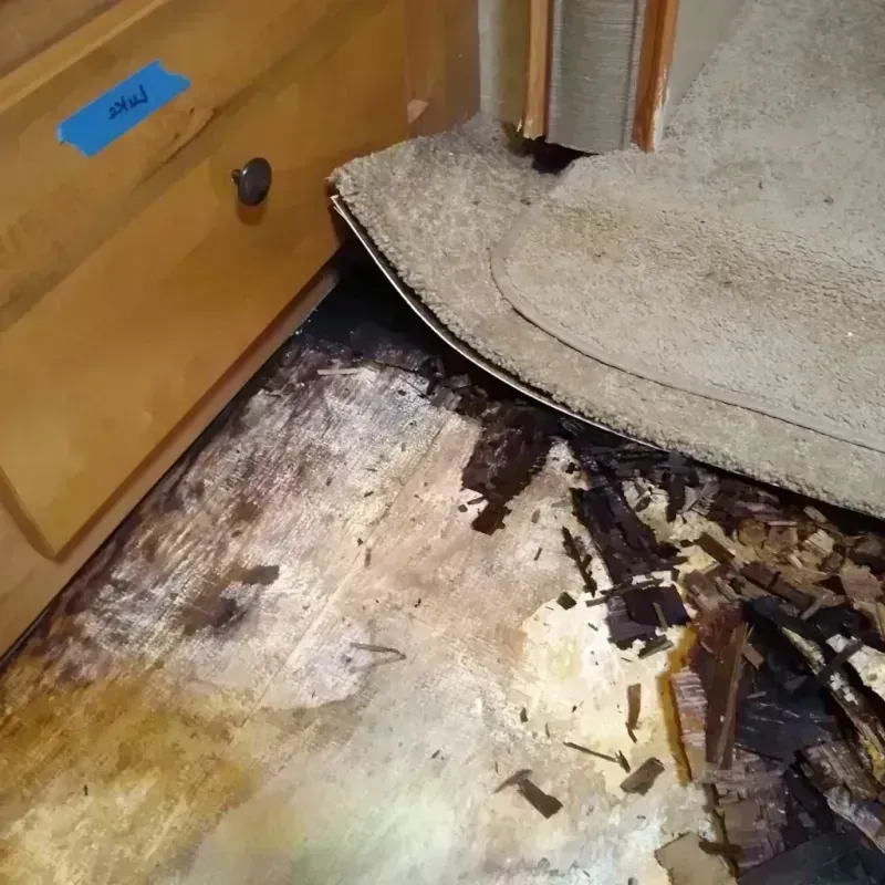 Wood Floor Water Damage in Jackson County, NC